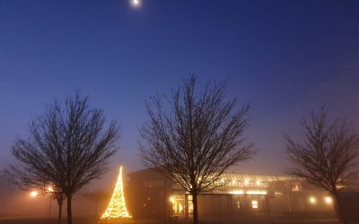 Prachtig plaatje!